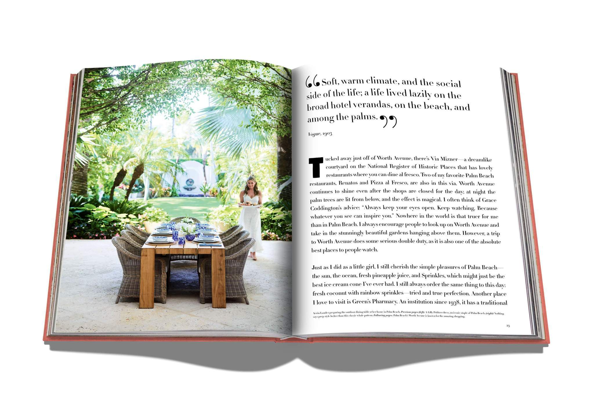 Assouline Palm Beach Book by Aerin Lauder Pied Nu