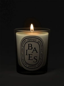 Diptyque Paris Candle Baies (Berries) Classic Candle