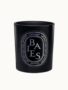 Diptyque Paris Candle Baies (berries) Medium Candle