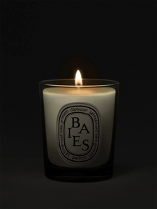 Diptyque Paris Candle Baies Small Candle