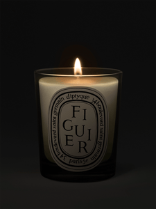 Diptyque Paris Candle Figuier Standard Candle