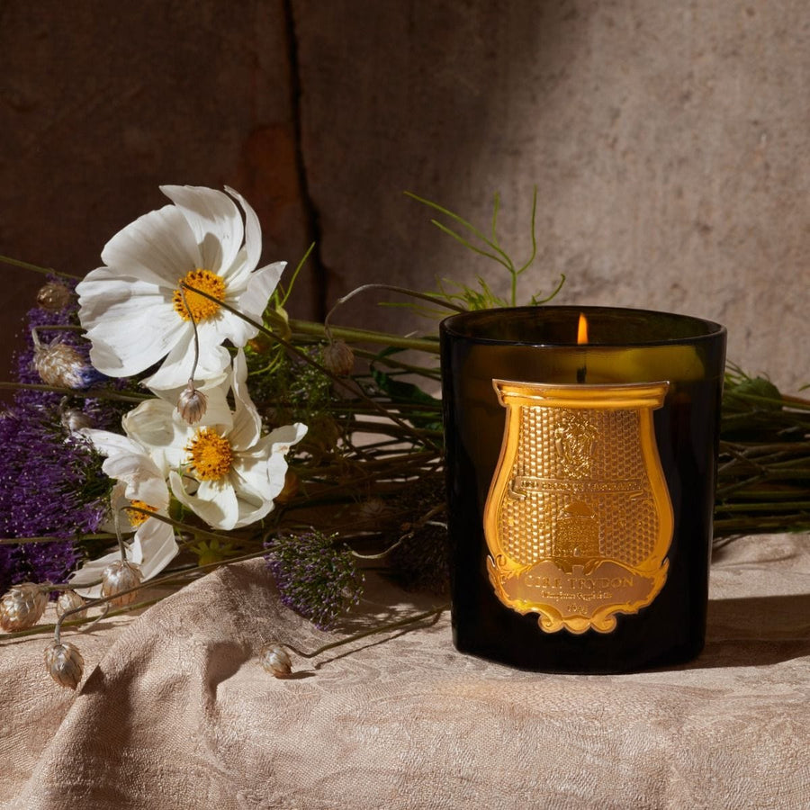 Cire Trudon Candles Classic Candle Gabriel