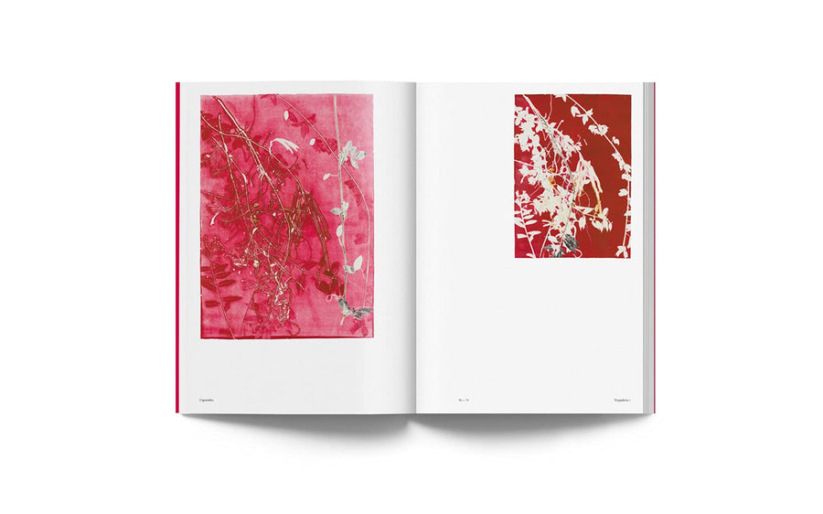 Fondation Cartier pour l'art contemporain, Paris Books Luiz Zerbini: Botanica: Monotypes 2016-2020