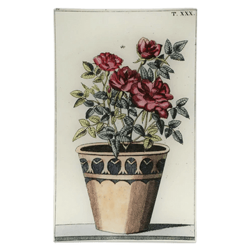 John Derian Tabletop Potted Rose Tray