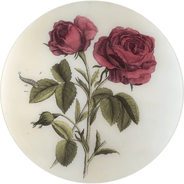 John Derian Tabletop Stemmed Rose Round Tray