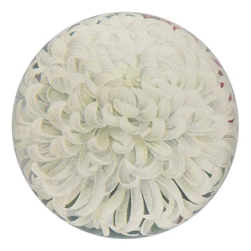 John Derian Tabletop White Chrysanthemum Dome Paperweight